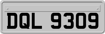DQL9309