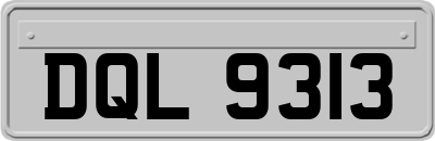 DQL9313
