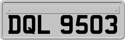 DQL9503
