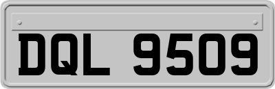DQL9509