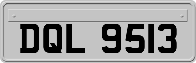 DQL9513