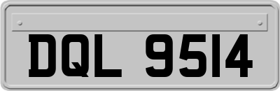 DQL9514