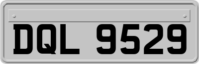 DQL9529