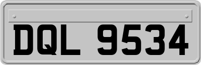 DQL9534