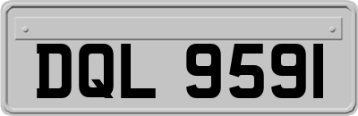 DQL9591