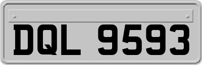 DQL9593