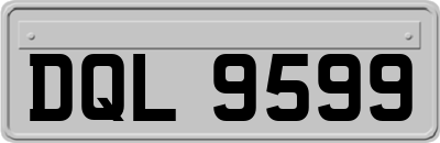 DQL9599
