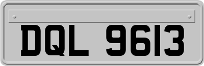 DQL9613