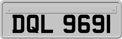 DQL9691