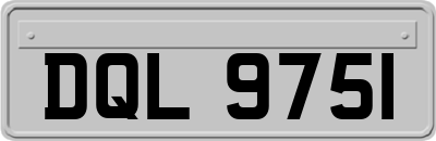 DQL9751