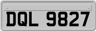 DQL9827