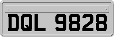 DQL9828