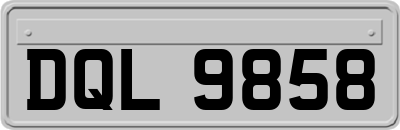 DQL9858