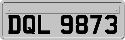 DQL9873