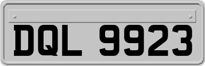 DQL9923
