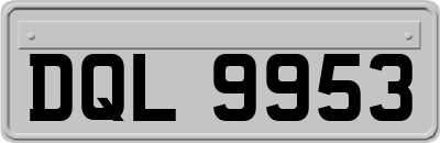 DQL9953