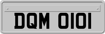 DQM0101