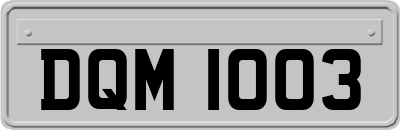 DQM1003