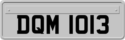 DQM1013