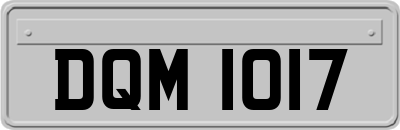 DQM1017