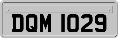 DQM1029