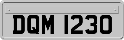 DQM1230