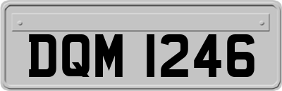 DQM1246