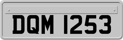DQM1253
