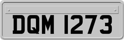 DQM1273