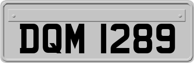 DQM1289