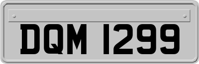 DQM1299