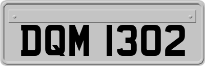 DQM1302