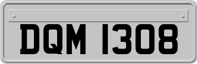 DQM1308