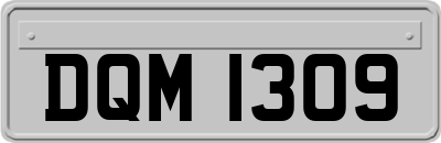 DQM1309
