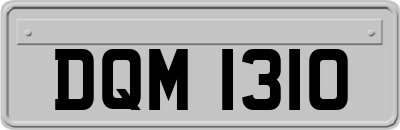 DQM1310
