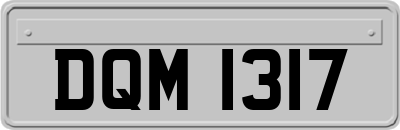 DQM1317