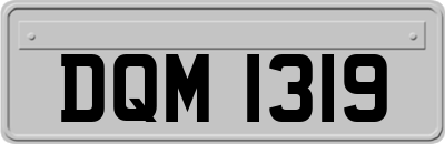 DQM1319