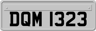 DQM1323