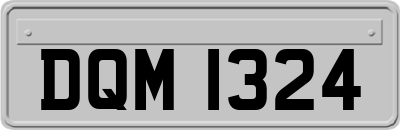 DQM1324