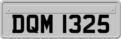 DQM1325