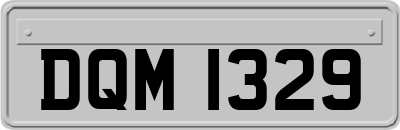 DQM1329