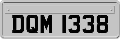 DQM1338