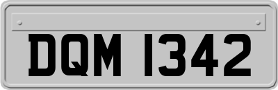 DQM1342