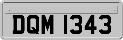 DQM1343