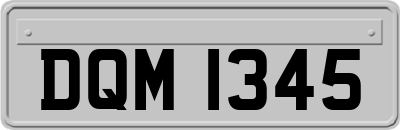 DQM1345