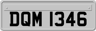 DQM1346