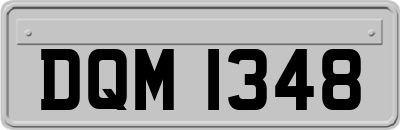DQM1348