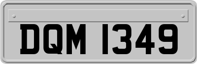 DQM1349