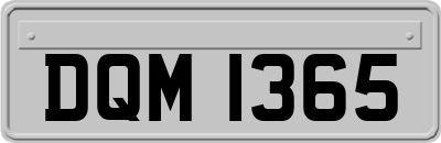 DQM1365