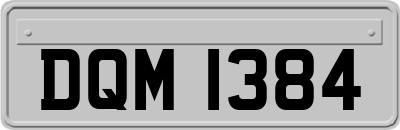 DQM1384